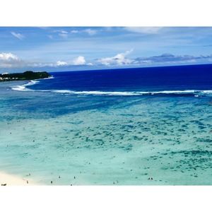 Meet your Posher, Ronny